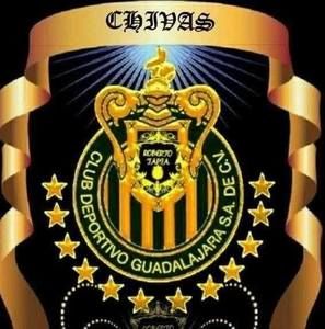 Meet your Posher, Marco